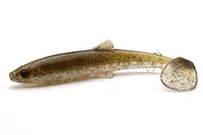 GUMA WESTIN BULLTEEZ 12,5cm - UV CRAW