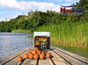 KULKI HACZYKOWE INVADER CORTES 250ml