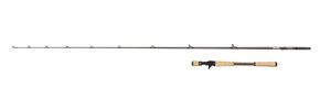 WĘDKA ABU GARCIA BEAST PRO CASTING 220/25-70g