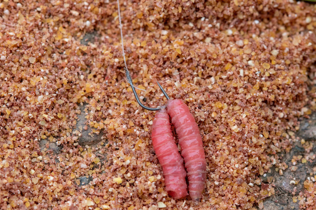 HACZYKI PRESTON XFS-B