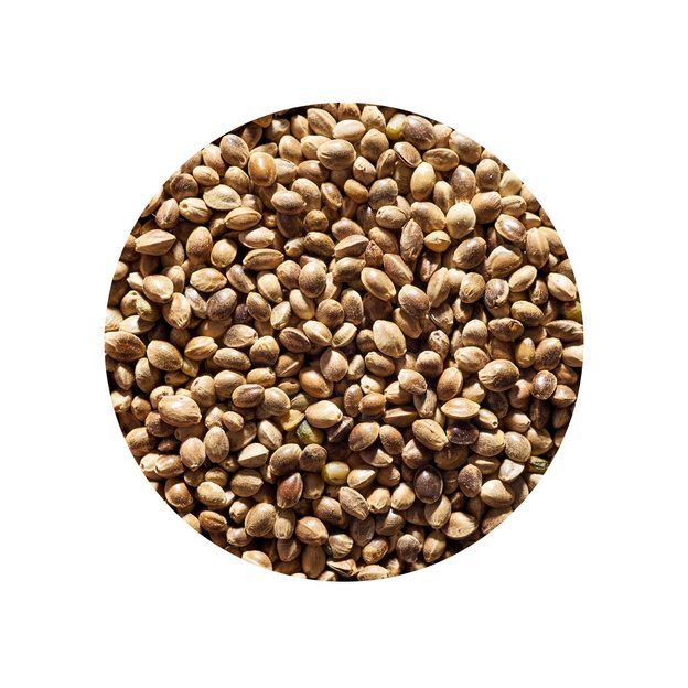  NUMBER 1 GENLOG - KONOPIA SUROWA ZIARNO 0,5kg