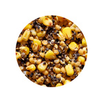 ZIARNA ZANĘTOWE GENLOG - ZIARNO SUPER MIX