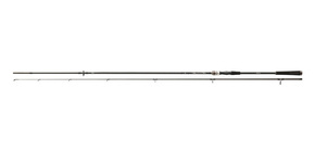 WĘDKA DAIWA EXCELER SEA TROUT 315/15-40g