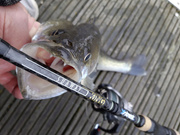 14190240 - QUANTUM WĘDKA 4STREET SUBWAY KING 240/7-35g