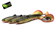 GUMA WESTIN BULLTEEZ CURLTAIL - BALTIC PIKE