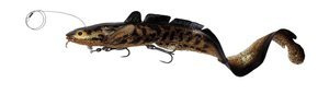 PRZYNĘTA SAVAGE GEAR 3D LINE THRU BURBOT - BLACK GOLD UV 36cm/216g