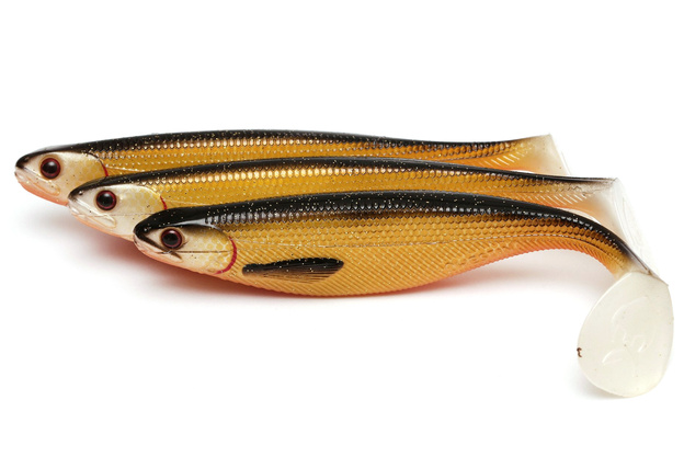 GUMA WESTIN SHAD TEEZ - OFFICIAL ROACH