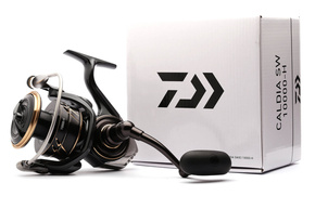 KOŁOWROTEK DAIWA 23 CALDIA SW 8000-H