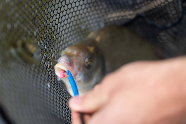 WYPYCHACZ DO HACZYKÓW Z IGŁĄ PRESTON