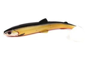 GUMA WESTIN BULLTEEZ 24cm - OFFICIAL ROACH