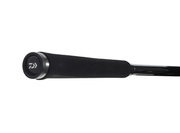 WĘDKA DAIWA EXCELER SOLIDTIP SPIN 210/2-10g