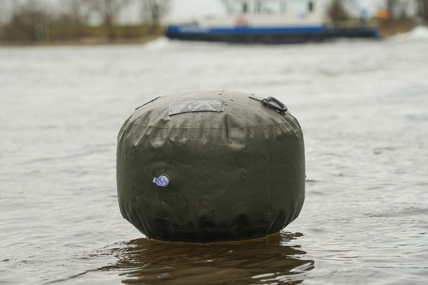 BOJA SUMOWA BLACK CAT S 25cm