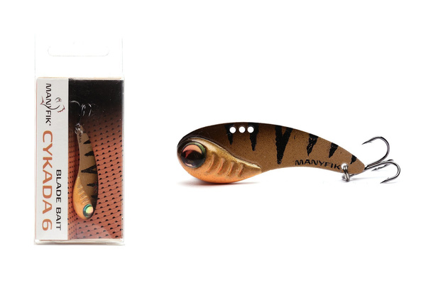 CYKADA MANYFIK - GOLD