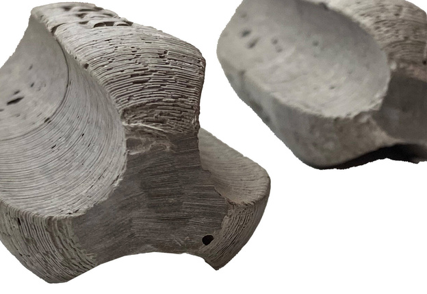 CIĘŻAREK KARPIOWY ECO D&M - PASTA