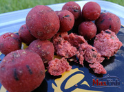 KULKI ZANĘTOWE INVADER CARYCA 14mm/800g