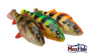 61 - SAVAGE GEAR GUMA 4D PERCH SHAD - ALBINO