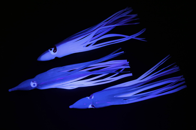 OŚMIORNICE DEGA OCTOPUS UV 12cm/3szt