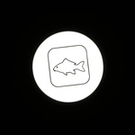 ZESTAW SYGNALIZATORÓW PROLOGIC C-SERIES 2+1