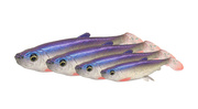 GUMA SAVAGE GEAR 3D HERRING SHAD - ALBINO