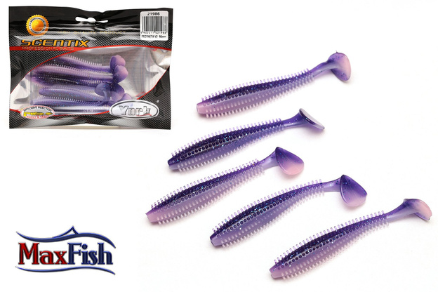 219 - YORK GUMA SCENTIX V2