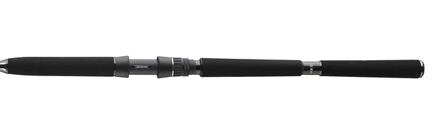 WĘDKA DAIWA BG DEEP SEA 175/100-300g