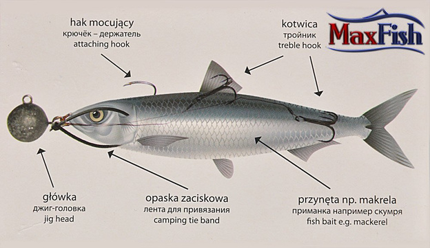4045600 - MAX ZESTAW DO ZBROJENIA MARTWEJ RYBKI 600g