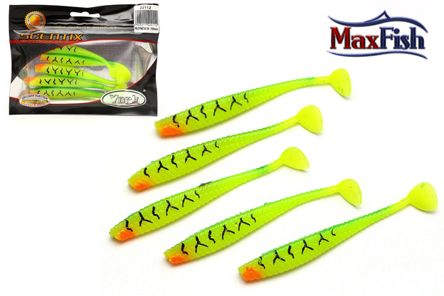 22 - YORK GUMA SCENTIX V6