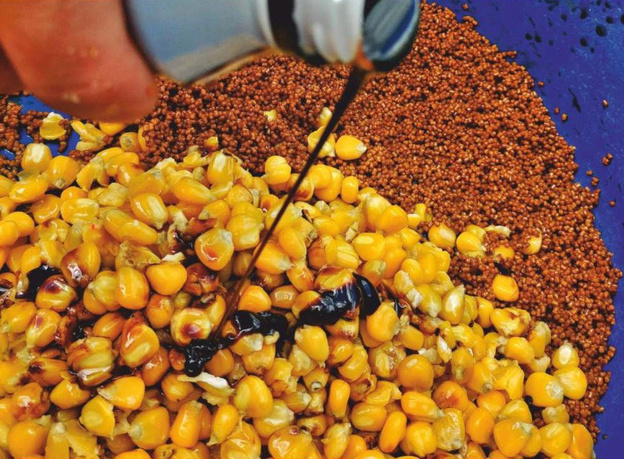 ZIARNA ZANĘTOWE GENLOG - ZIARNO MIX KUKURYDZA-KONOPIA