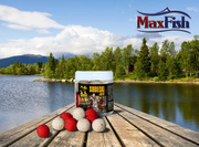 KULKI HACZYKOWE INVADER SOBIESKI 250ml