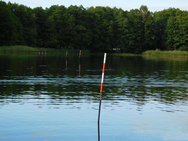 MARKER KARPIOWY TYCZKA Z GŁOWICĄ LED 10m-BLUE - CARP MARKER