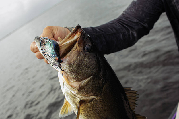 PRZYNĘTA SAVAGE GEAR HOP POPPER FROG - GILL