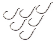 HAKI GAMAKATSU OCTOPUS