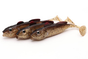 GUMA BERKLEY PULSE REALISTIC GOBY - GOBY 1szt