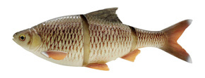 GUMA SAVAGE GEAR 4D LINE THRU ROACH S 32cm/445g - BREAM