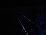 LATARKA ANACONDA VIPEX UV BLACKFLASH 68