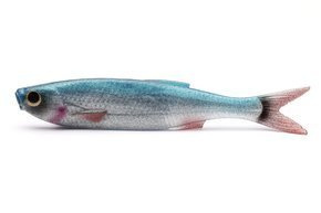 GUMA SAVAGE GEAR CRAFT DYING MINNOW 1szt - BLUE PEARL