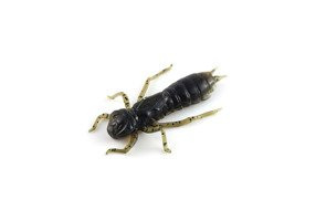 GUMA FISHUP DRAGONFLY 043-1,5"/37mm/8szt