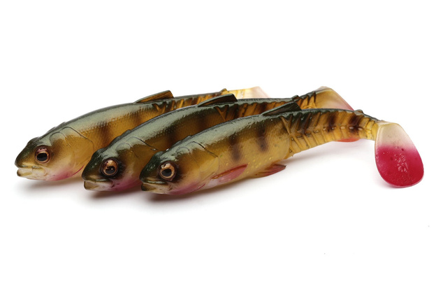 GUMA SAVAGE GEAR CRAFT CANNIBAL - PERCH