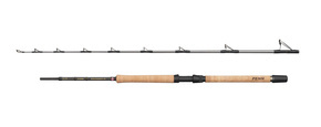 WĘDKA PENN REGIMENT IV PRO BOAT 210/12-20lb