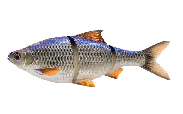 GUMA SAVAGE GEAR 3D LINE THRU ROACH SS 32cm/420g - BLUE ROACH