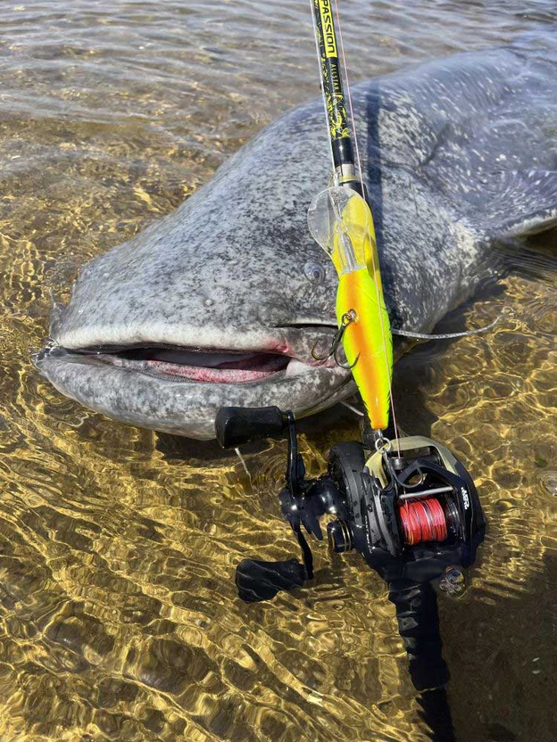 WĘDKA BLACK CAT PASSION ALLSTAR CAST 220/30-130g