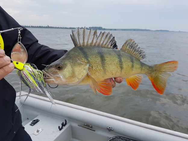 57695 - SAVAGE GEAR DA MEGA BUSH SPINNERBAIT - CHARTREUSE YELLOW