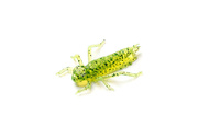 GUMA FISHUP DRAGONFLY 026-1"/30mm/10szt