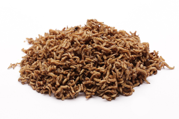 PINKA SUSZONA W MELASIE AGRO INSEKT 250g