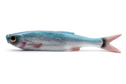 GUMA SAVAGE GEAR CRAFT DYING MINNOW 1szt - BLUE PEARL
