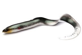 6377 - SAVAGE GEAR GUMA 3D REAL EEL - GREEN SILVER