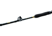 WĘDKA DAIWA BG BIG GAME 168/20-30lbs