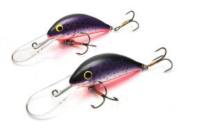 HEK60SDR/STV - GLOOG WOBLER HEKTOR SDR60 STV