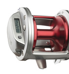 MULTIPLIKATOR DAIWA SEALINE ISHIDAI 40H