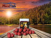 KULKI HACZYKOWE INVADER CARYCA 250ml